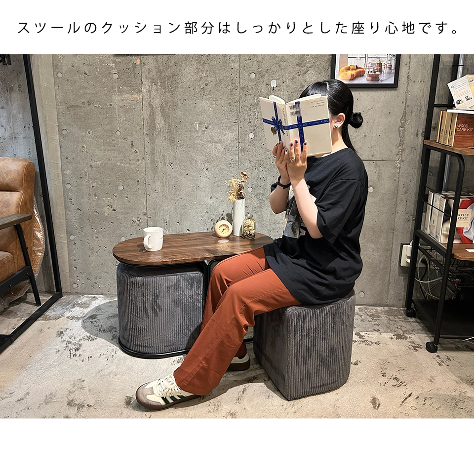 スツール 2個セット CT014【送料無料】グレー