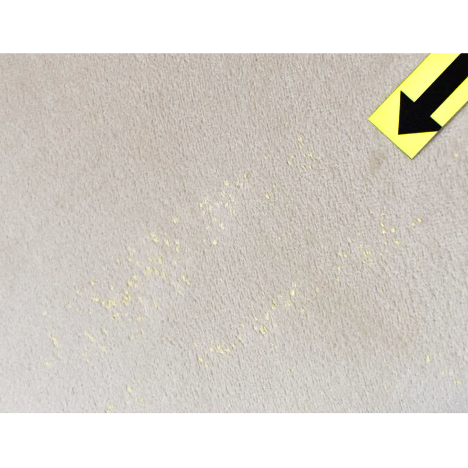 【アウトレット】チェアSST003【送料無料】ベージュ