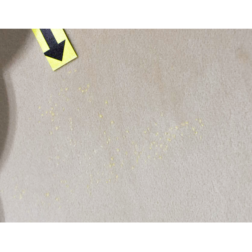 【アウトレット】チェアSST003【送料無料】ベージュ