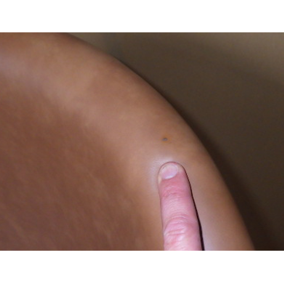 【アウトレット】チェアF802-F【送料無料】キャメル