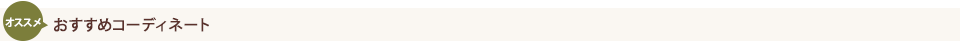 おすすめコーディネート